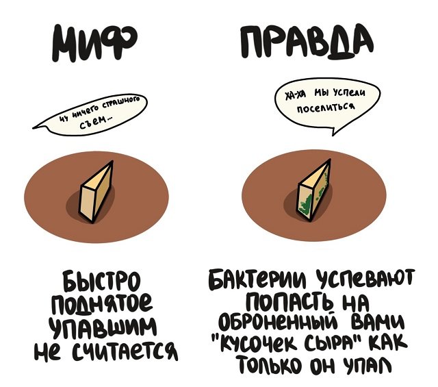 Факт - Загадка!