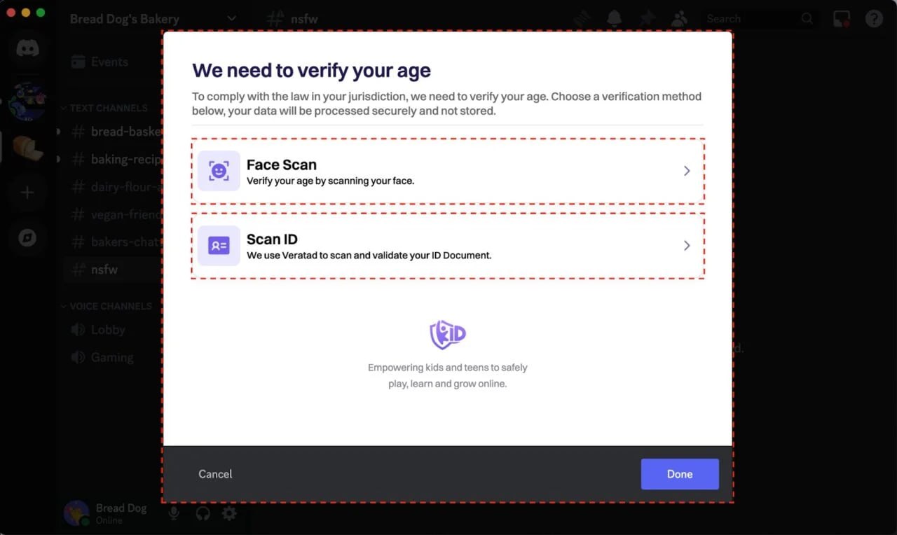 Discord ввёл обязательную проверку возраста!