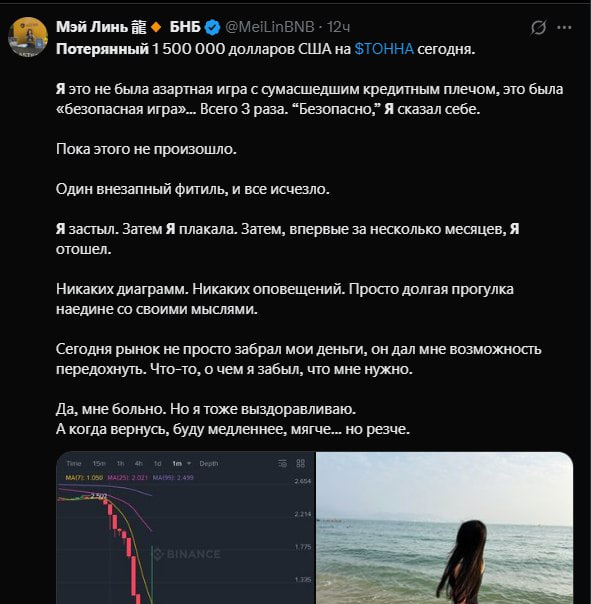 Инвестор потерял 1.5 млн $ во время ликвидации рынка в TON