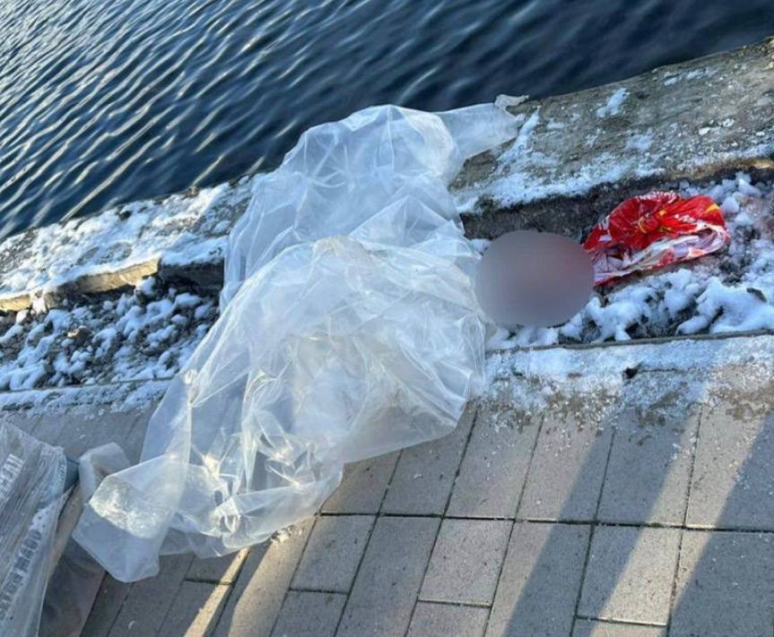 ПЗДЦ: голову ребёнка нашли в Гольяновском пруду