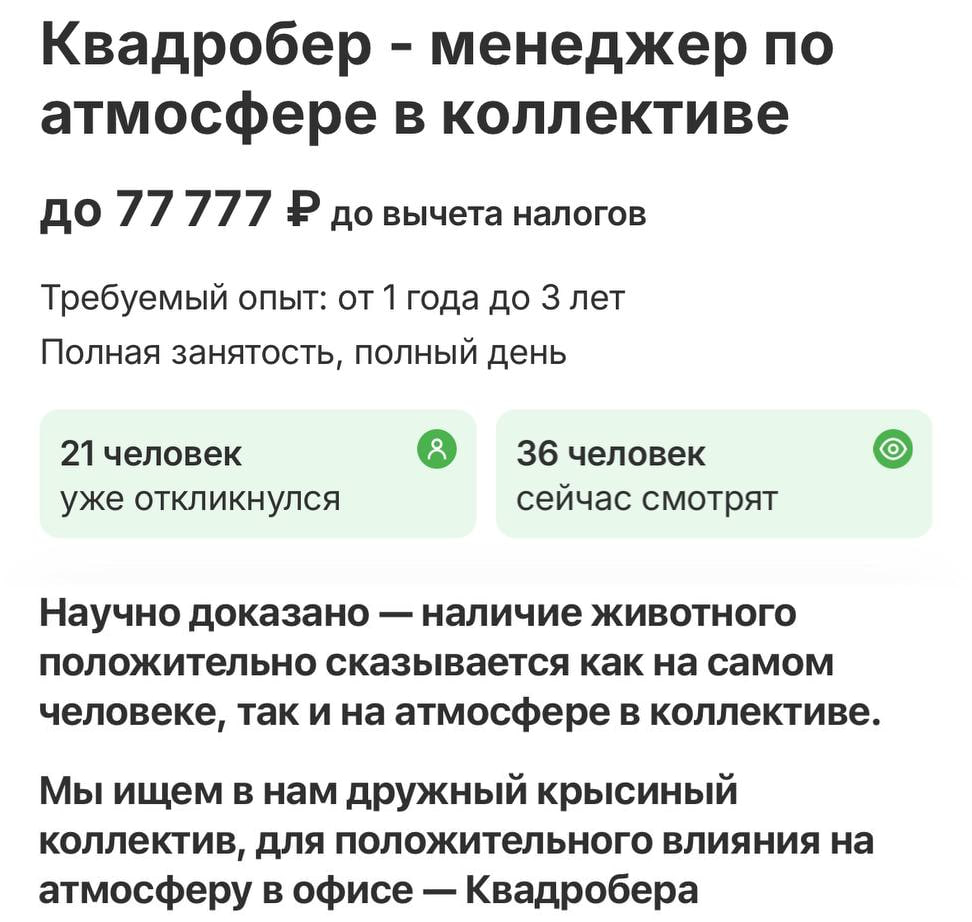 Вакансия квадробера в офис открылась в Москве