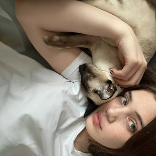 Блогерша Аня Акулич осталась без любимого кота